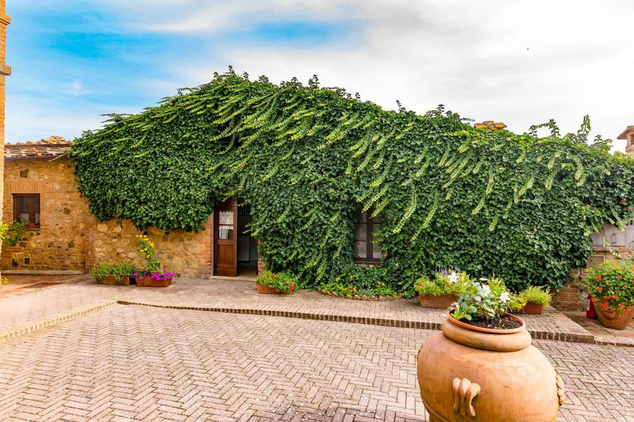 Agriturismo Etrusco Murlo Zewnętrze zdjęcie